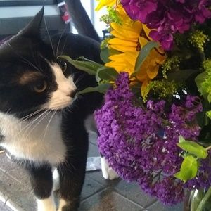 Meet your Posher, Jillian